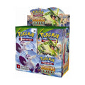 Pokémon TCG XY Roaring Skies Booster Box