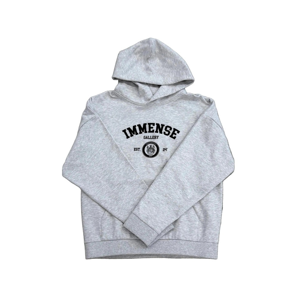 Immense Gallery Varsity Hoodie Grey